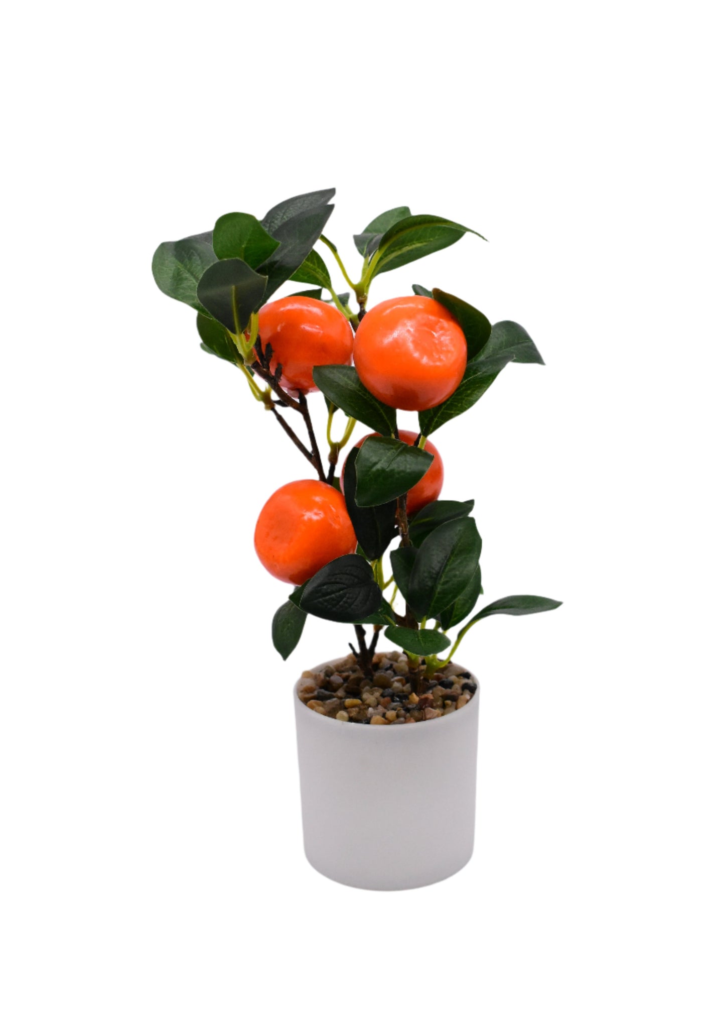 fruit Plant