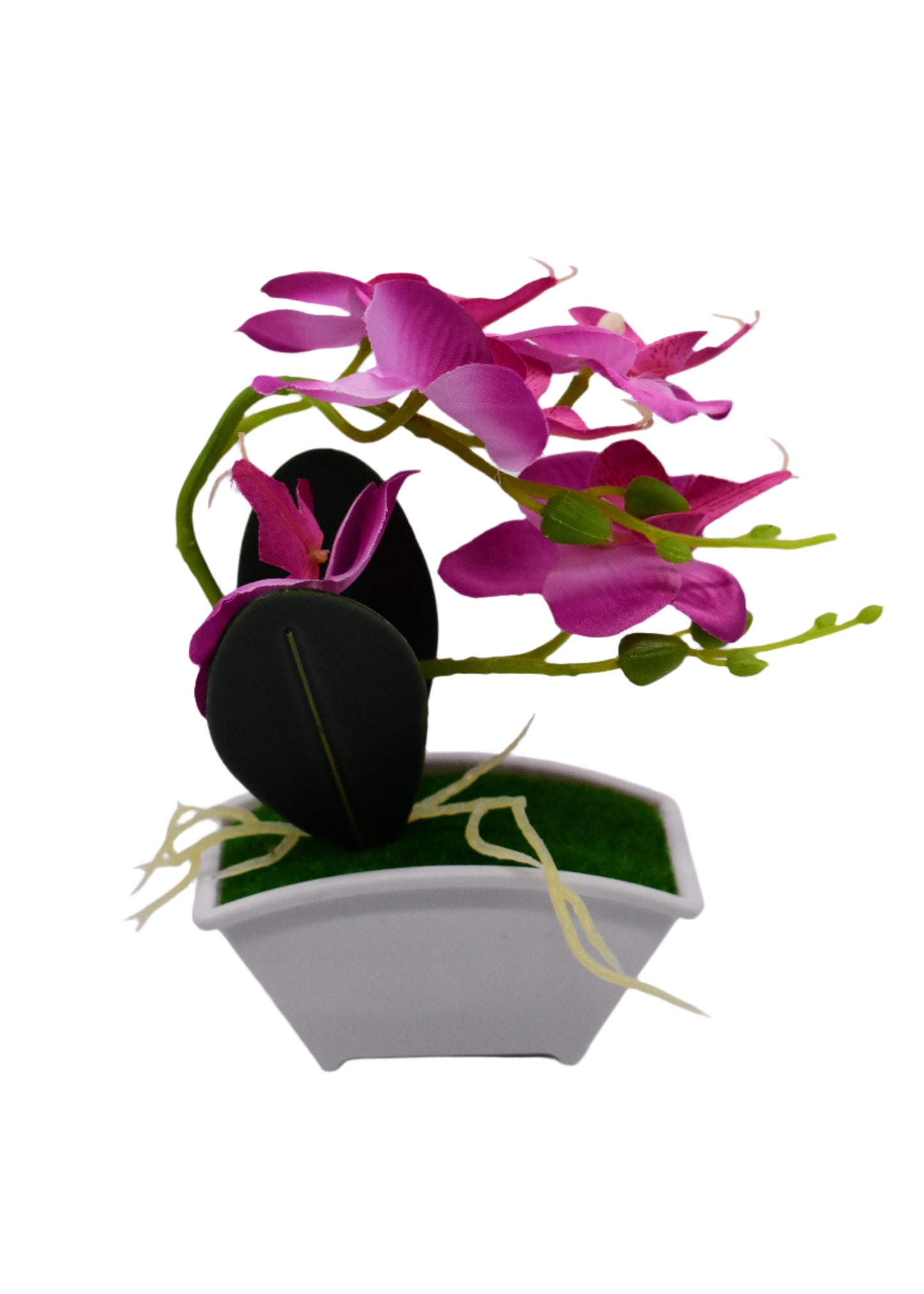 Pink Bonzi