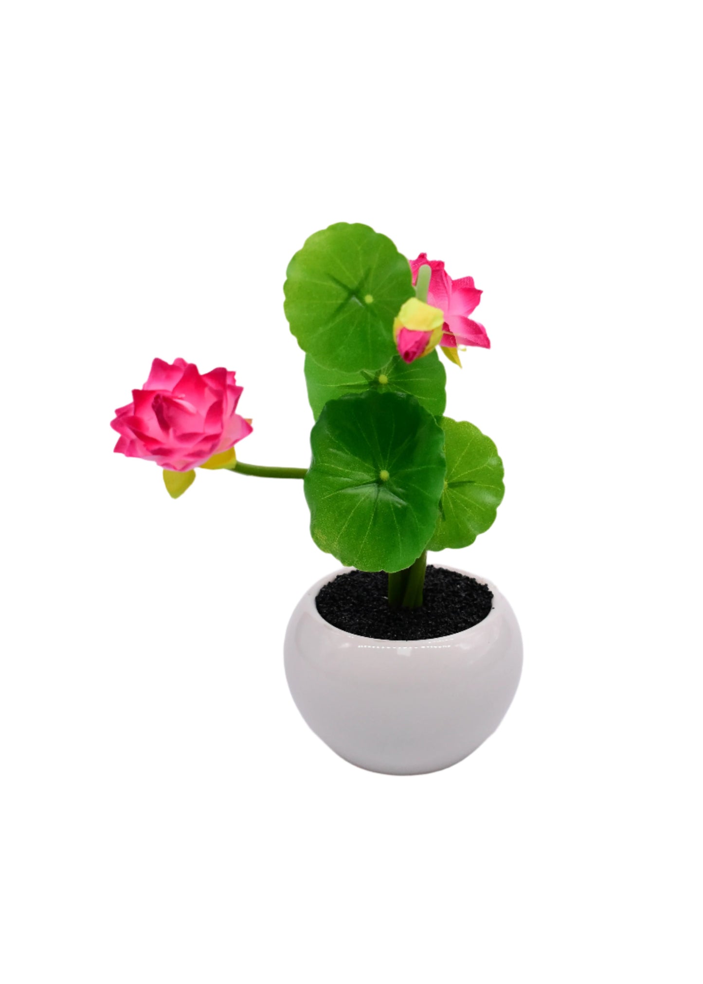 Pink Flower