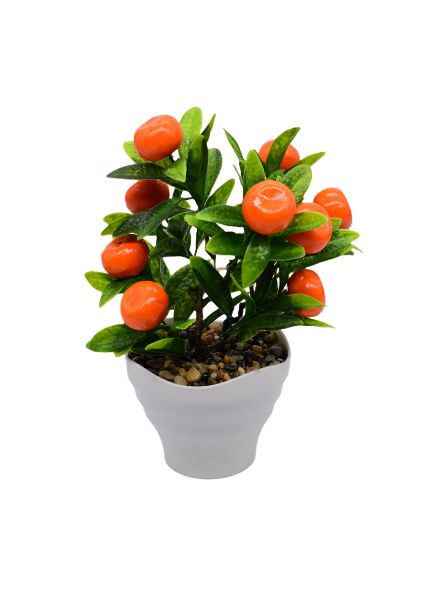 Mandarin Fruit