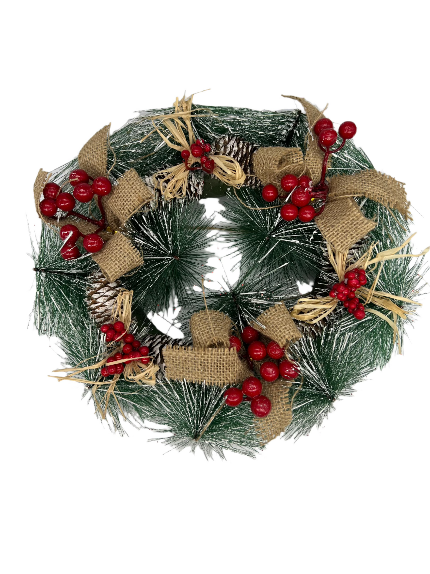 Christmas Frosty Door Reef