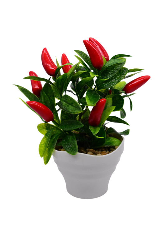 Chili Pepper Plant