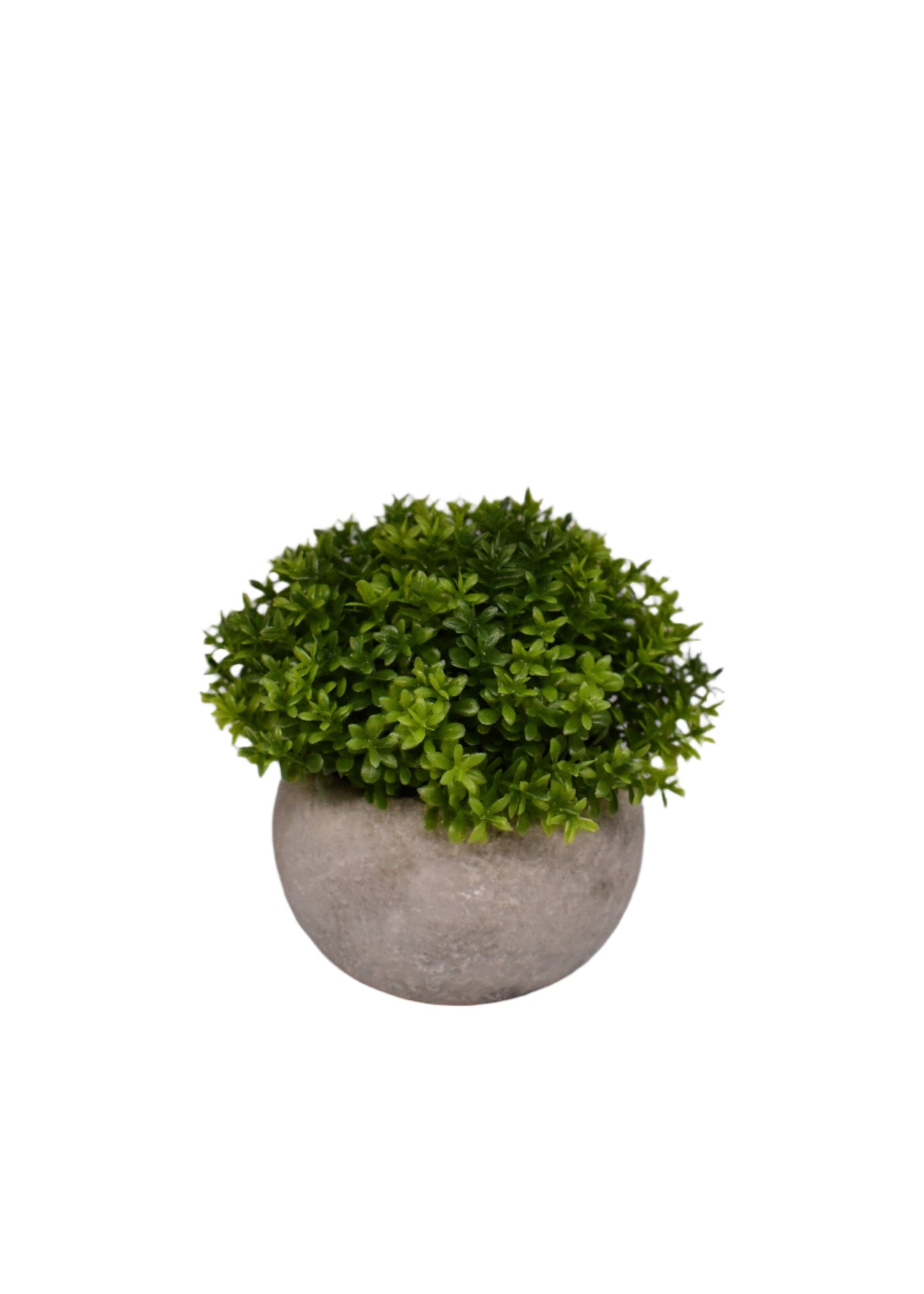 Artificial Plant with Pot